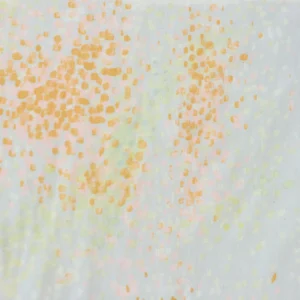 Double Gauze Kokka nani Iro Waterfall orange